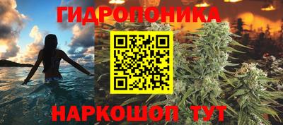 амф Лесосибирск