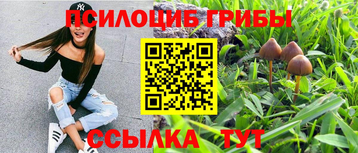 Гудермес  Галлюциногенные грибы прущие грибы  Вход с VPN 