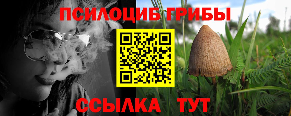 Псилоцибиновые грибы GOLDEN TEACHER Гудермес